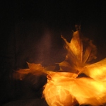 Podzimní nálada II