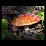 ...tak T Y H L E  ne!!!