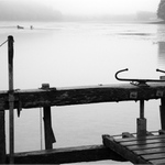 Rybník Olšovec - výlov