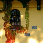 Window