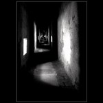 Road To Perdition / Cesta do záhuby