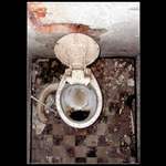 ze života žárovky ...