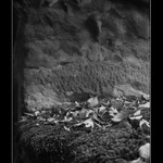 Když začne padat listí ...