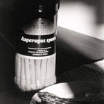 Zátiší s chřestem