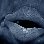 Dej mi pusu, jestli víš, co jsem zač...