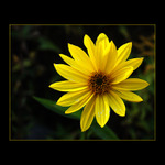 nejsem <b>dokonalá</b>