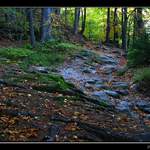 kam sluníčko nemůže...