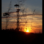 Poslední západ pod širákem