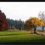 - Další podzimní -