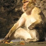 Urcite me zase fotej