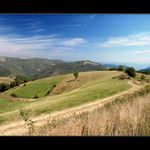 z Banátu až do Srbska.....