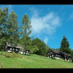 DVĚ CHALOUPKY<BR><B>