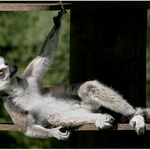 Kdo je u tebe povaleč, co?