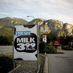 vsadepritomna reklama