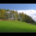 Poslední pastva oveček