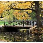 Průhonický Park III.