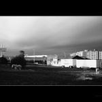 Cirkus, kam se podíváš!