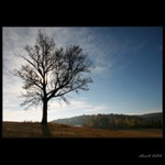 Slunce už chodí nízko.