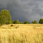 slunce před deštěm