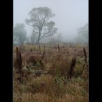 Jedno jesenné ráno