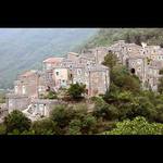 Telematic Village