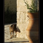 Když se stíny přibližují...