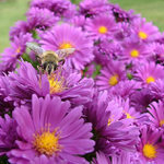 To všechno je moje!