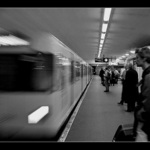 Berlinsky krtecek :)
