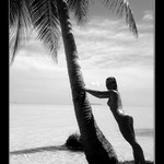 Sounáležitost III.