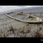 Na dně rybníka III.