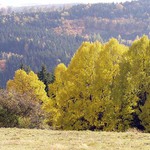 Podzim v okolí Bečova nad Teplou