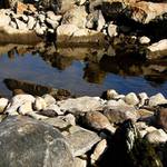 pleso