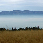 Inverzia