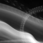 ...kolem mé hlavy bývá poněkud rušno...