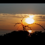 ... vzpomínka na teplo