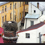 ... tak tady bydlí čápi?