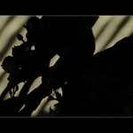 prostor pro obrazotvornost