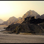 Sinaj 2004