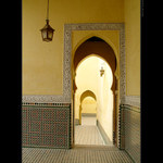 Arabské linie 02