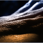 Bizarní krajina II.