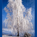 Bude zima, bude mráz...