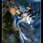 podzimní poezie vody II.