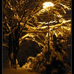 <B>Lampičko mám tě rád