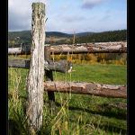 Podzimní Šumava I.