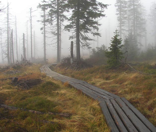 Krkonoše - Svinský kaluže
