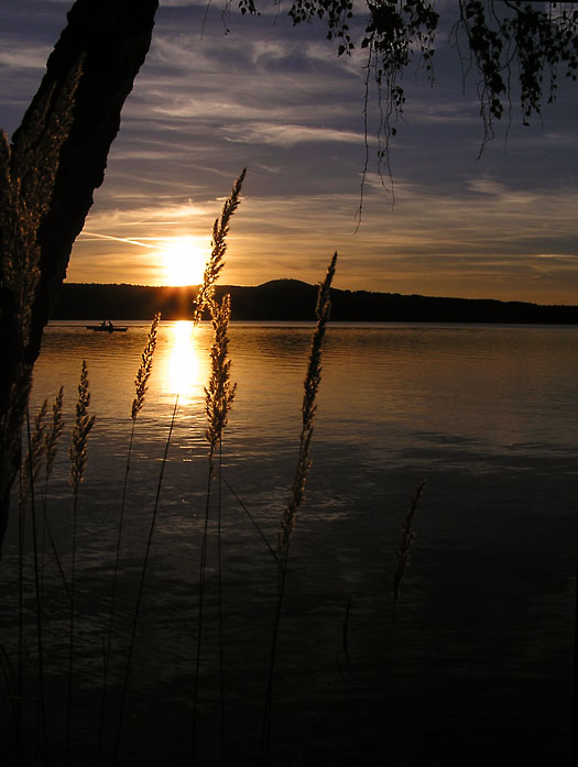 Západofka