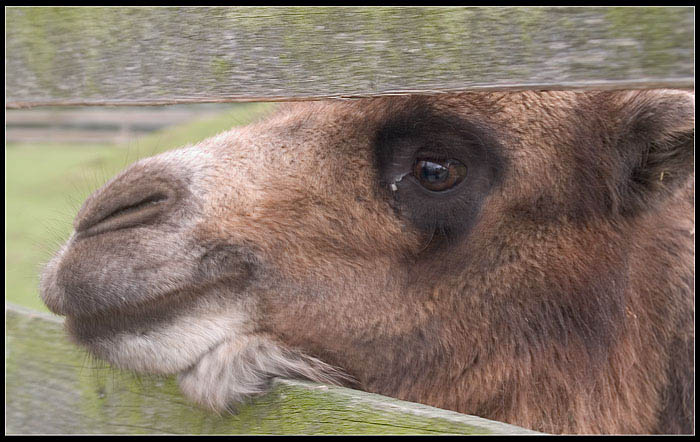 Něco k snědku??