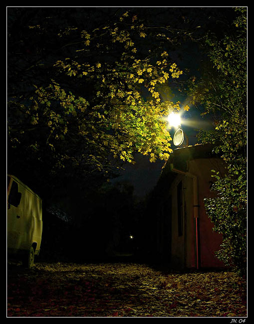 svetlo - listy - stiny