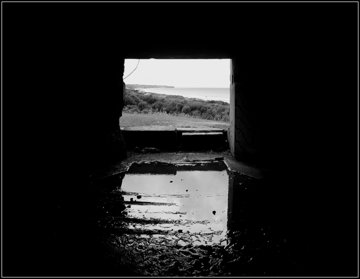 Omaha Beach, D Day +  21975