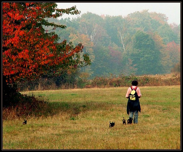 Podzimní procházka